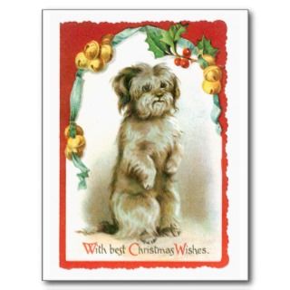 with best christmas wishes cute dog get in the christmas spirit