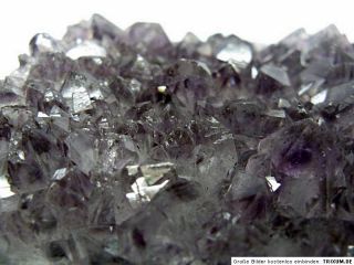 Amethystdruse,Geode,Druse,Edelstein,Kristall, 1,0kg / 445/ Stk.