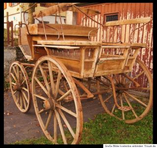 Schweizer Break um 1910 Wagonette Kutsche Einspänner Zweispänner