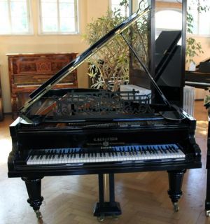 Bechstein Konzert Flügel 220 komplett restauriert