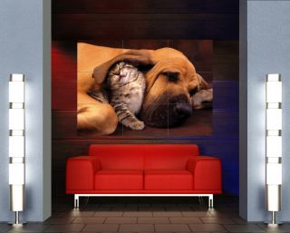 Cat and Dog Cosy Cute Giant Poster Print X663