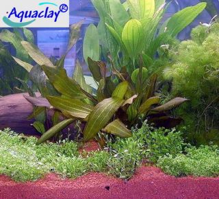 30 Liter AQUACLAY GROUND Bodengrund 1 4mm Aquarien Kies