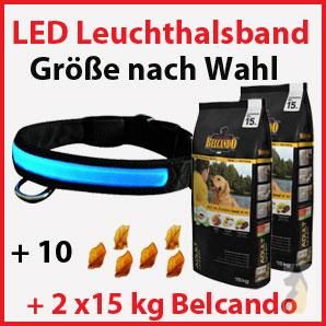 LED Leuchthalsband & Belcando Adult Dinner 2 x15 kg + 10 Rinderohren