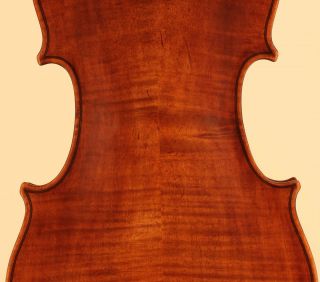 Alte italienische Geige Postacchini 1855 Musikerin Nachlass violine