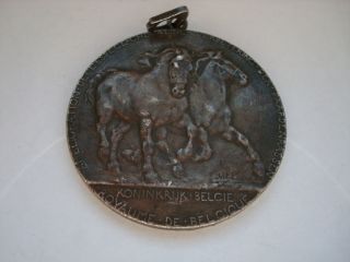 Luxembourg 1903, Luxemburg, KONINKRIJK BELGIE, Pferde (26 812)