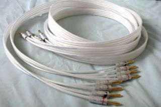 QED Silver Anniversary XT BIWIRE speaker cable 2.5mPair