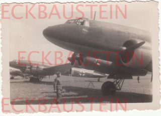 Orig Foto Focke Wulf FW 200 Condor Staffelabzeichen Kennung Flugzeug