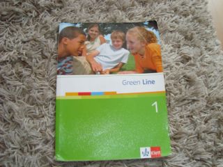 Green Line 1 von Klett ISBN 978 3 12 547121 4 (für Gymnasium)