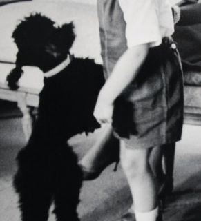 Luc Fournol  handsignierte FOTOGRAFIE von Grace Kelly , Albert
