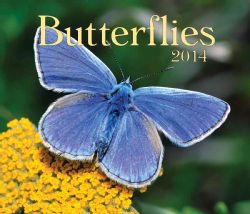 Butterflies 2014 Calendar (Calendar)