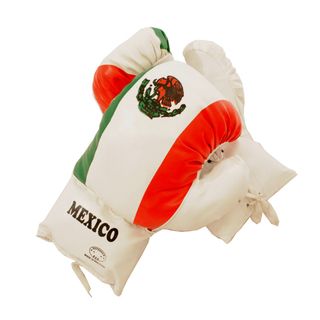 Defender 20 ounce Mexican Boxing Gloves