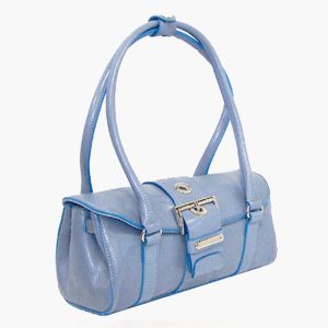 Rina Rich Large Clutch Handbag (Blue) Clothing