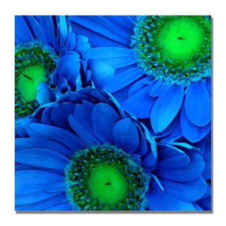 Amy Vangsgard Blue Gerber Daisies Canvas Art