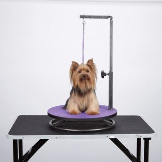 Master Equipment Small Pet Grooming Purple Table