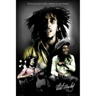 , Bob Marley, (Dimension  Maxi 61 x 91.5cm)… Voir la présentation