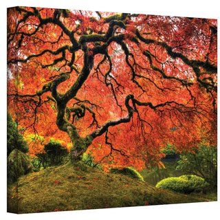 John Black  Japanese Tree  Gallery Wrapped Canvas