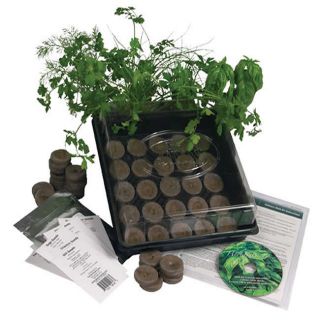 Herb Garden Starter Kit Today $35.77 4.3 (7 reviews)