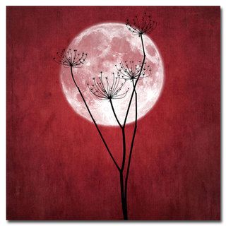 Philippe Sainte Laudy Give me the Moon Canvas Art