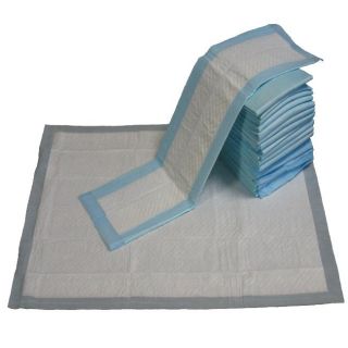 Go Pet Club 23x24 Puppy Dog Training Pads (Case of 200) Today $64.99