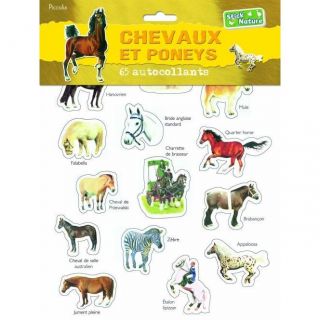 Les chevaux et les poneys ; 65 autocollants   Achat / Vente livre
