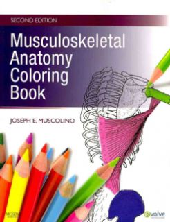 Musculoskeletal Anatomy Coloring Book (Paperback) Today $35.09
