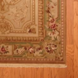 Asian Hand knotted Aubusson Beige/ Gold Wool Rug (4 x 6)