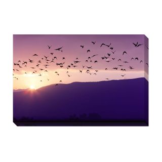 birds of a flock oversized gallery wrapped canvas today $ 141 99