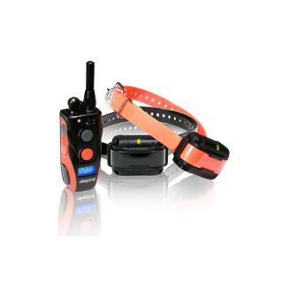 Dogtra Surestim 2 Dog Remote Trainer with LCD Display Today $359.99