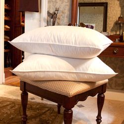 Jessica McClintock White Goose Feather Pillows (Set of 2) Today $47