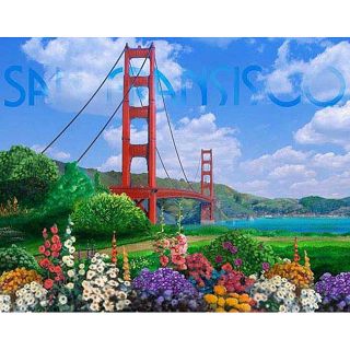 Corey Wolfe San Fransisco Gallery wrapped Canvas