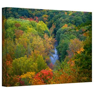 David Liam Kyle Autumn Stream Gallery Wrapped Canvas Today $49.99