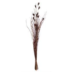 Deep Brown Grass with Flowers Botanical Accent (Indonesia) Today $21