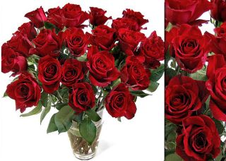 100 Fresh Red Wholesale Roses (20 in stem length)