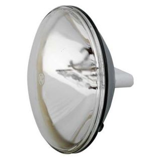 Eiko FFR Incandescent Floodlight, PAR64, 1000W