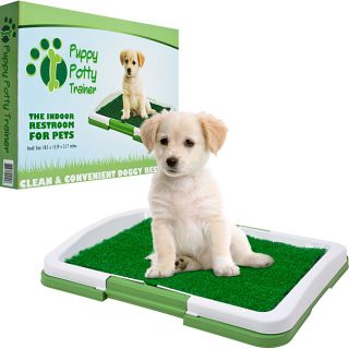 PAW Green/White Plastic Odor resistant Three layer Puppy Potty Trainer
