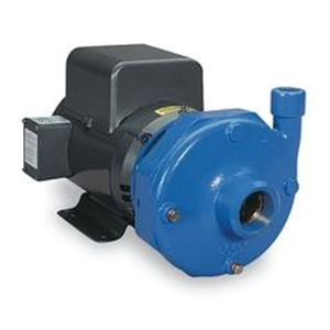 Goulds Water Technology 4BF1L5E0 Pump, Centrifugal, 10 HP