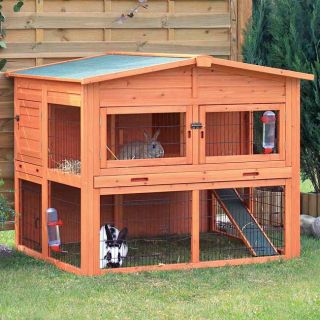 Rabbit Hutch with Attic (XL) Today $384.99 5.0 (2 reviews)