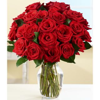 Mothers Day Preorder) Two Dozen Red Roses with Large Vase