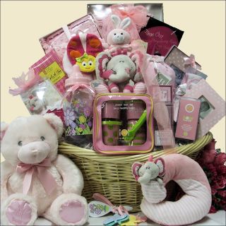 Great Arrivals Grand Welcome Baby Girl Gift Basket Today $447.99