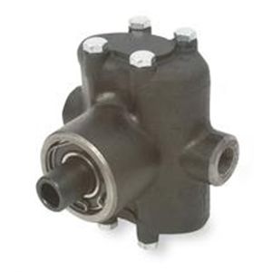 Dayton 3YB53 Pump, Twin Piston