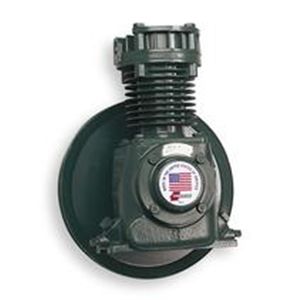 Champion 2Z157 Pump, Compressor