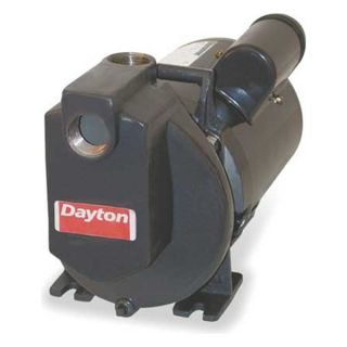 Dayton 4P909 Pump, Stainless Steel